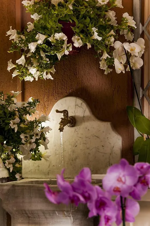 Please Rome - Guest House